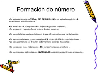Formación do número 
●Se o singular remata en VOGAL, DIT. OU CONS. –N forma o plural engadindo –S: 
xersei/xerseis, bailarín/bailaríns,... 
●Se remata en –R, -Z engaden –ES: xogador/xogadores, raíz/raíces,... 
●Se rematan en –L poden formar o plural de dúas maneiras: 
●Se son polisílabas agudas substitúen o -L por –IS: animal/animais; pardal/pardais,.. 
●Se son monosílabas ou graves, engaden –ES; ril/riles; fácil/fáciles; caníbal/aníbales,... 
●Se o singular remata en –S tamén poden formar o plural de dous xeitos: 
●Se son agudas (non –ns) engaden –ES; compás/compases, o/os luns, ... 
●Se son graves ou esdrúxulas son INVARIABLES; o/os lapis; o/os mércores, o/os oasis,... 
 
