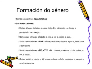 Formación do xénero 
● Temos substantivos INVARIABLES 
●Son MASCULINOS: 
oMoitas árbores froiteiras e o seu froito. Ex. o limoeiro – o limón; o 
pexegueiro – o pexego... 
oNomes das letras do alfabeto: o erre, o xe, o hache, o que... 
oSubst. rematados en –UME: o lume, o alcume, o cume. Agás a pesadume, 
a servidume 
oSubst. rematados en –ME, -OTE, - OI : o nome, o exame, o lote, o dote, o 
boi, o bocoi... 
oOutros subst.: o couce, o fel, o ubre, o labor, o leite, o cárcere, o sangue, o 
sinal, o diadema... 
 
