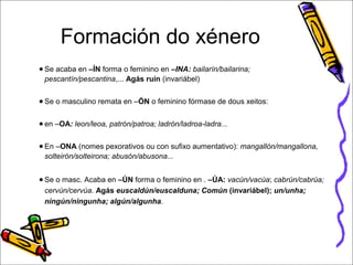 Formación do xénero 
●Se acaba en –ÍN forma o feminino en –INA: bailarín/bailarina; 
pescantín/pescantina,... Agás ruín (invariábel) 
●Se o masculino remata en –ÓN o feminino fórmase de dous xeitos: 
● en –OA: leon/leoa, patrón/patroa; ladrón/ladroa-ladra... 
●En –ONA (nomes pexorativos ou con sufixo aumentativo): mangallón/mangallona, 
solteirón/solteirona; abusón/abusona... 
●Se o masc. Acaba en –ÚN forma o feminino en . –ÚA: vacún/vacúa; cabrún/cabrúa; 
cervún/cervúa. Agás euscaldún/euscalduna; Común (invariábel); un/unha; 
ningún/ningunha; algún/algunha. 
 