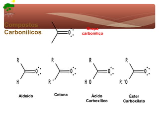 Compostos                             Grupo
Carbonílicos                    O   carbonílico




    R              R                   R                   R
              O                 O                   O              O
   H              R'                 HO                 R 'O

    Aldeído            Cetona           Ácido               Éster
                                      Carboxílico        Carboxilato
 