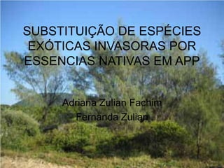 SUBSTITUIÇÃO DE ESPÉCIES
EXÓTICAS INVASORAS POR
ESSENCIAS NATIVAS EM APP
Adriana Zulian Fachim
Fernanda Zulian
 