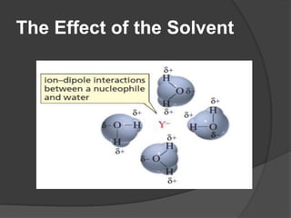The Effect of the Solvent
 