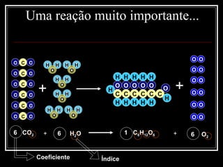 Uma reação muito importante... + + 6 CO 2 + 6 H 2 O 1  C 6 H 12 O 6 + 6 O 2 Coeficiente Índice O O C O O C O O C O O C O O C O O C H H O H H O H H O H H O H H O H H O O O O O O O C C C C C C H H H H H H H H H H H H O O O O O O O O O O O O 