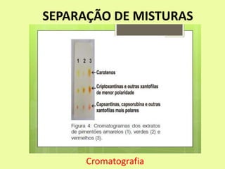 SEPARAÇÃO DE MISTURAS
Cromatografia
 
