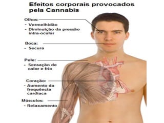 Substâncias psicoativas