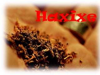 Haxixe
 