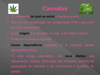Cannabis É uma planta da qual se extrai o haxixe e a erva. Tem na sua constituição um componente (THC) que pode provocar alucinações. A sua origem é o cannabis, ou seja, é de origem natural. Pode ser fumada ou ingerida. Causa dependência psíquica e é possível causar dependência física.  É uma droga psicadélica. Os seus efeitos são relaxamento, euforia, diminuição das inibições, lentidão da capacidade de memória e de movimentos e aumento do apetite.