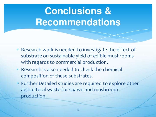 effectiveness of oyster mushroom cultivation training Fresh mushroom, mushroom swan, mushroom spawn, cultivation, value added products, mushroom recipes, mushroom cultivation training, mushroom buy back. effectiveness of oyster mushroom cultivation training Fresh mushroom, mushroom swan, mushroom spawn, cultivation, value added products, mushroom recipes, mushroom cultivation training, mushroom buy back.