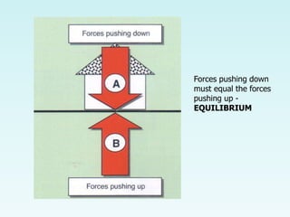 Forces pushing down
must equal the forces
pushing up -
EQUILIBRIUM
 