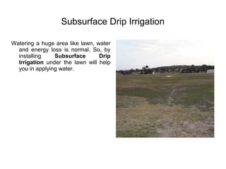 Subsurface Drip Irrigation
Watering a huge area like lawn, water
and energy loss is normal. So, by
installing Subsurface Drip
Irrigation under the lawn will help
you in applying water.
 