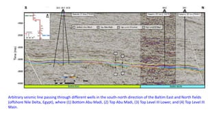 Arbitrary seismic line passing through different wells in the south-north direction of the Baltim East and North fields
(offshore Nile Delta, Egypt), where (1) Bottom Abu Madi, (2) Top Abu Madi, (3) Top Level III Lower, and (4) Top Level III
Main.
 
