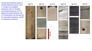 Interpreted lithofacies types in
the Abu Madi Formation. (a) F-
1: Trough cross-bedded
sandstone, (b) F-2: Parallel
laminated sandstone, (c) F-3:
Ripple laminated siltstone, (d)
F-4: Heterolithic silt and clay, (e)
F5: Laminated claystone, and (f)
F-6: Massive sandstone.
 