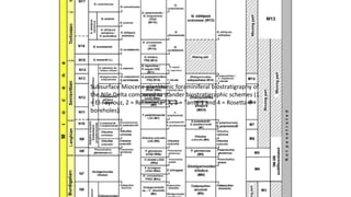 Subsurface Miocene planktonic foraminiferal biostratigraphy of
the Nile Delta compared to stander biostratigraphic schemes (1
= El-Fayrouz, 2 = Rommana-1X, 3 = Tanta-1 and 4 = Rosetta-7
boreholes).
 