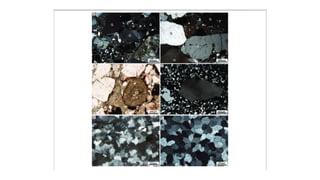 Subsurface Miocene Sequence Stratigraphic Framework in the Nile Delta, Egypt.pptx