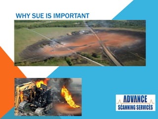WHY SUE IS IMPORTANT
 