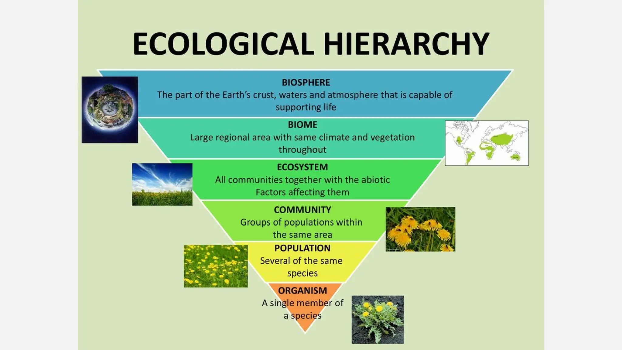 Science subsystem ppt kwjsbdbswjjdbdbwnd