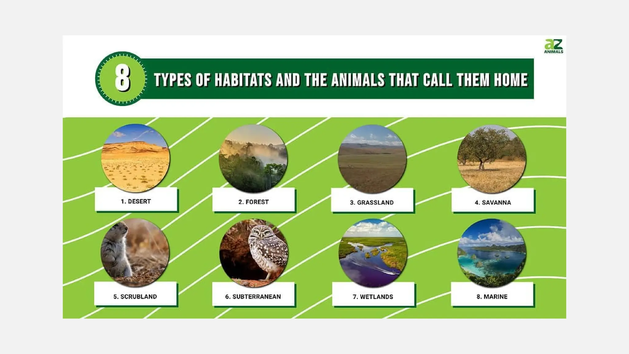 Science subsystem ppt kwjsbdbswjjdbdbwnd