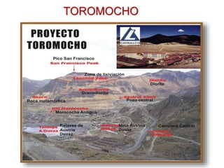 TOROMOCHO
 