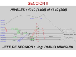 SECCIÓN II
NIVELES : 4310 (1400) al 4640 (200)
Ing. PABLO MUNGUIAJEFE DE SECCION :
 