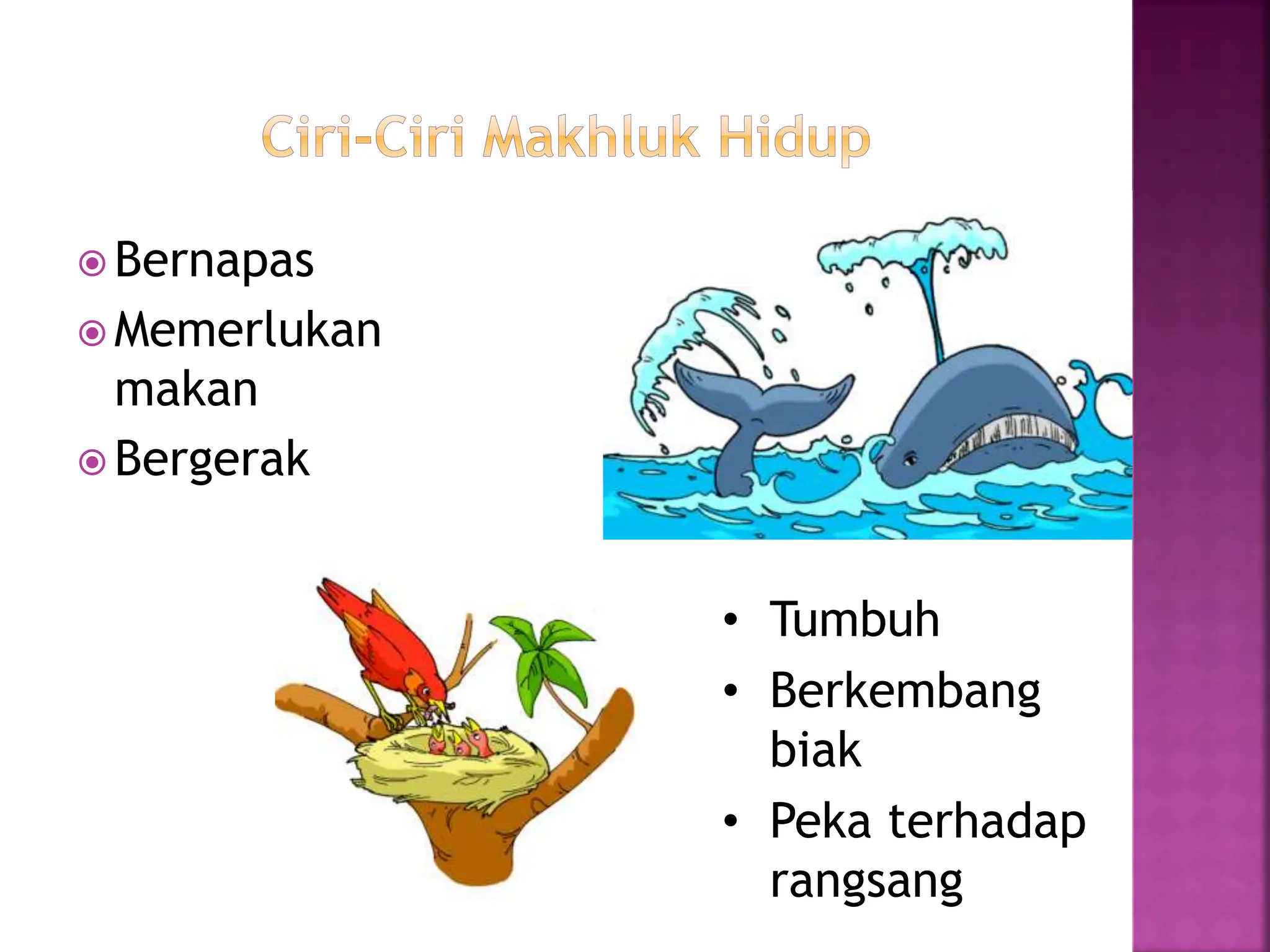 ppt sub tema 1, ciri-ciri makhluk hidup, kelas 3 | PPTX