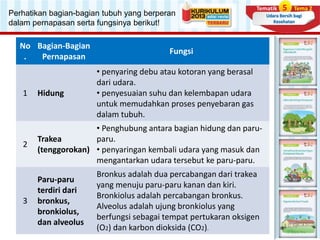 Tematik 5 Tema 2
Udara Bersih bagi
Kesehatan
Perhatikan bagian-bagian tubuh yang berperan
dalam pernapasan serta fungsinya berikut!
No
.
Bagian-Bagian
Pernapasan
Fungsi
1 Hidung
• penyaring debu atau kotoran yang berasal
dari udara.
• penyesuaian suhu dan kelembapan udara
untuk memudahkan proses penyebaran gas
dalam tubuh.
2
Trakea
(tenggorokan)
• Penghubung antara bagian hidung dan paru-
paru.
• penyaringan kembali udara yang masuk dan
mengantarkan udara tersebut ke paru-paru.
3
Paru-paru
terdiri dari
bronkus,
bronkiolus,
dan alveolus
Bronkus adalah dua percabangan dari trakea
yang menuju paru-paru kanan dan kiri.
Bronkiolus adalah percabangan bronkus.
Alveolus adalah ujung bronkiolus yang
berfungsi sebagai tempat pertukaran oksigen
(O2) dan karbon dioksida (CO2).
 