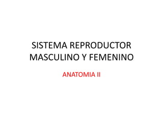 SISTEMA REPRODUCTOR MASCULINO Y FEMENINO ANATOMIA II 