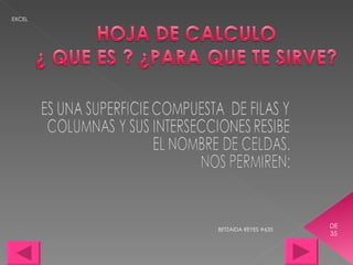 BETZAIDA REYES #635 DE 35 EXCEL 