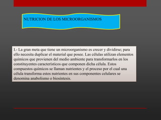 NUTRICION DE LOS MICROORGANISMOS

I.- La gran meta que tiene un microorganismo es crecer y dividirse; para
ello necesita duplicar el material que posee. Las células utilizan elementos
químicos que provienen del medio ambiente para transformarlos en los
constituyentes característicos que componen dicha célula. Estos
compuestos químicos se llaman nutrientes y el proceso por el cual una
célula transforma estos nutrientes en sus componentes celulares se
denomina anabolismo o biosíntesis.

 