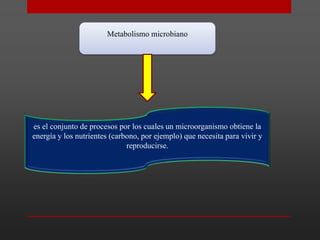 Metabolismo microbiano

es el conjunto de procesos por los cuales un microorganismo obtiene la
energía y los nutrientes (carbono, por ejemplo) que necesita para vivir y
reproducirse.

 