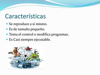 Características 
 Se reproduce a si mismo. 
 Es de tamaño pequeño. 
 Toma el control o modifica programas. 
 Es Casi siempre ejecutable. 
 