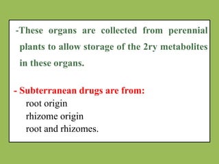 -These organs are collected from perennial
plants to allow storage of the 2ry metabolites
in these organs.
- Subterranean drugs are from:
root origin
rhizome origin
root and rhizomes.
 