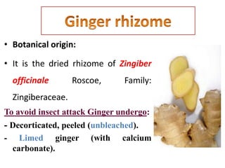• Botanical origin:
• It is the dried rhizome of Zingiber
officinale Roscoe, Family:
Zingiberaceae.
To avoid insect attack Ginger undergo:
- Decorticated, peeled (unbleached).
- Limed ginger (with calcium
carbonate).
 