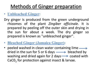 Methods of Ginger preparation
• Unbleached Ginger:
Dry ginger is produced from the green underground
rhizomes of the plant Zingiber officinale. It is
prepared by peeling off the outer skin and drying in
the sun for about a week. The dry ginger so
prepared is known as "unbleached ginger".
• Bleached Ginger (Jamaica Ginger):
• peeled washed in clean water containing lime
dried in the sun for 5 or 6 days bleached by
washing and dried again for 2 days coated with
CaC03 for protection against insect & larvae.
 