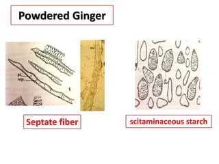 Powdered Ginger
Septate fiber scitaminaceous starch
 
