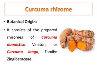 • Botanical Origin:
• It consists of the prepared
rhizomes of Curcuma
domestica Valeton, or
Curcuma longa, Family:
Zingiberaceae.
 