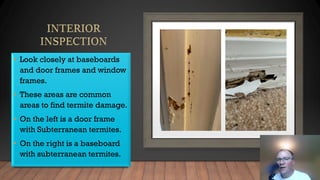 • Look closely at baseboards
and door frames and window
frames.
• These areas are common
areas to find termite damage.
• On the left is a door frame
with Subterranean termites.
• On the right is a baseboard
with subterranean termites.
 
