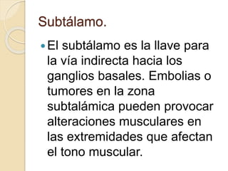 Subtálamo.
El subtálamo es la llave para
la vía indirecta hacia los
ganglios basales. Embolias o
tumores en la zona
subtalámica pueden provocar
alteraciones musculares en
las extremidades que afectan
el tono muscular.
 