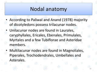 • According to Paliwal and Anand (1978) majority
of dicotyledons possess trilacunar nodes.
• Unilacunar nodes are found in Laurales,
caryphyllales, Ericales, Ebenales, Primulales,
Myrtales and a few Tubiflorae and Asteridae
members.
• Multilacunar nodes are found in Magnoliales,
Piperales, Trochodendrales, Umbellales and
Asterales.
18
Nodal anatomy
 