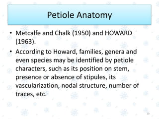 Petiole Anatomy
• Metcalfe and Chalk (1950) and HOWARD
(1963).
• According to Howard, families, genera and
even species may be identified by petiole
characters, such as its position on stem,
presence or absence of stipules, its
vascularization, nodal structure, number of
traces, etc.
20
 