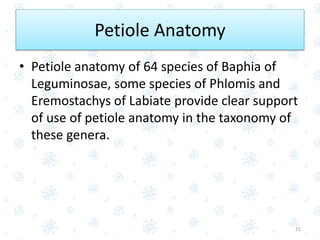 • Petiole anatomy of 64 species of Baphia of
Leguminosae, some species of Phlomis and
Eremostachys of Labiate provide clear support
of use of petiole anatomy in the taxonomy of
these genera.
21
Petiole Anatomy
 