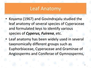 Leaf Anatomy
• Koyama (1967) and Govindrajalu studied the
leaf anatomy of several species of Cyperaceae
and formulated keys to identify various
species of Cyperus, Fuirena, etc.
• Leaf anatomy has been widely used in several
taxonomically different groups such as
Euphorbiaceae, Cyperaceae and Graminae of
Angiosperms and Coniferae of Gymnosperms,
23
 