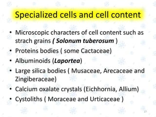 Specialized cells and cell content
• Microscopic characters of cell content such as
strach grains ( Solonum tuberosum )
• Proteins bodies ( some Cactaceae)
• Albuminoids (Laportea)
• Large silica bodies ( Musaceae, Arecaceae and
Zingiberaceae)
• Calcium oxalate crystals (Eichhornia, Allium)
• Cystoliths ( Moraceae and Urticaceae )
27
 