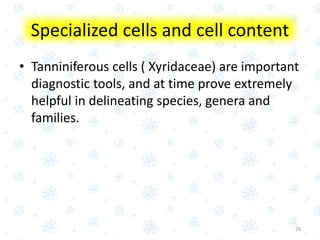 • Tanniniferous cells ( Xyridaceae) are important
diagnostic tools, and at time prove extremely
helpful in delineating species, genera and
families.
28
Specialized cells and cell content
 