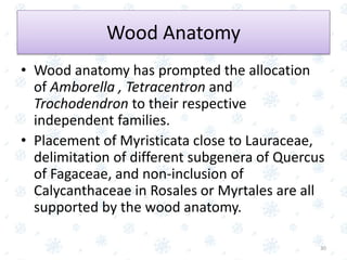 • Wood anatomy has prompted the allocation
of Amborella , Tetracentron and
Trochodendron to their respective
independent families.
• Placement of Myristicata close to Lauraceae,
delimitation of different subgenera of Quercus
of Fagaceae, and non-inclusion of
Calycanthaceae in Rosales or Myrtales are all
supported by the wood anatomy.
30
Wood Anatomy
 