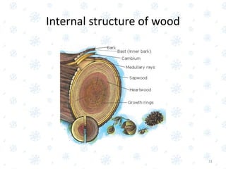 Internal structure of wood
31
 