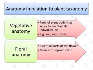 Anatomy in relation to plant taxonomy
• Parts of plant body that
serve to maintain its
individual life
• e.g. leaf, root, stem
Vegetative
anatomy
• Essential parts of the flower
• Means for reproductionFloral
anatomy
4
 