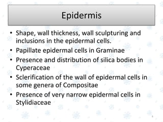 Epidermis
• Shape, wall thickness, wall sculpturing and
inclusions in the epidermal cells.
• Papillate epidermal cells in Graminae
• Presence and distribution of silica bodies in
Cyperaceae
• Sclerification of the wall of epidermal cells in
some genera of Compositae
• Presence of very narrow epidermal cells in
Stylidiaceae
6
 
