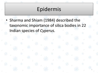 Epidermis
• Sharma and Shiam (1984) described the
taxonomic importance of silica bodies in 22
Indian species of Cyperus.
7
 