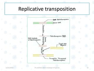 Subtle animated2 | PPTX