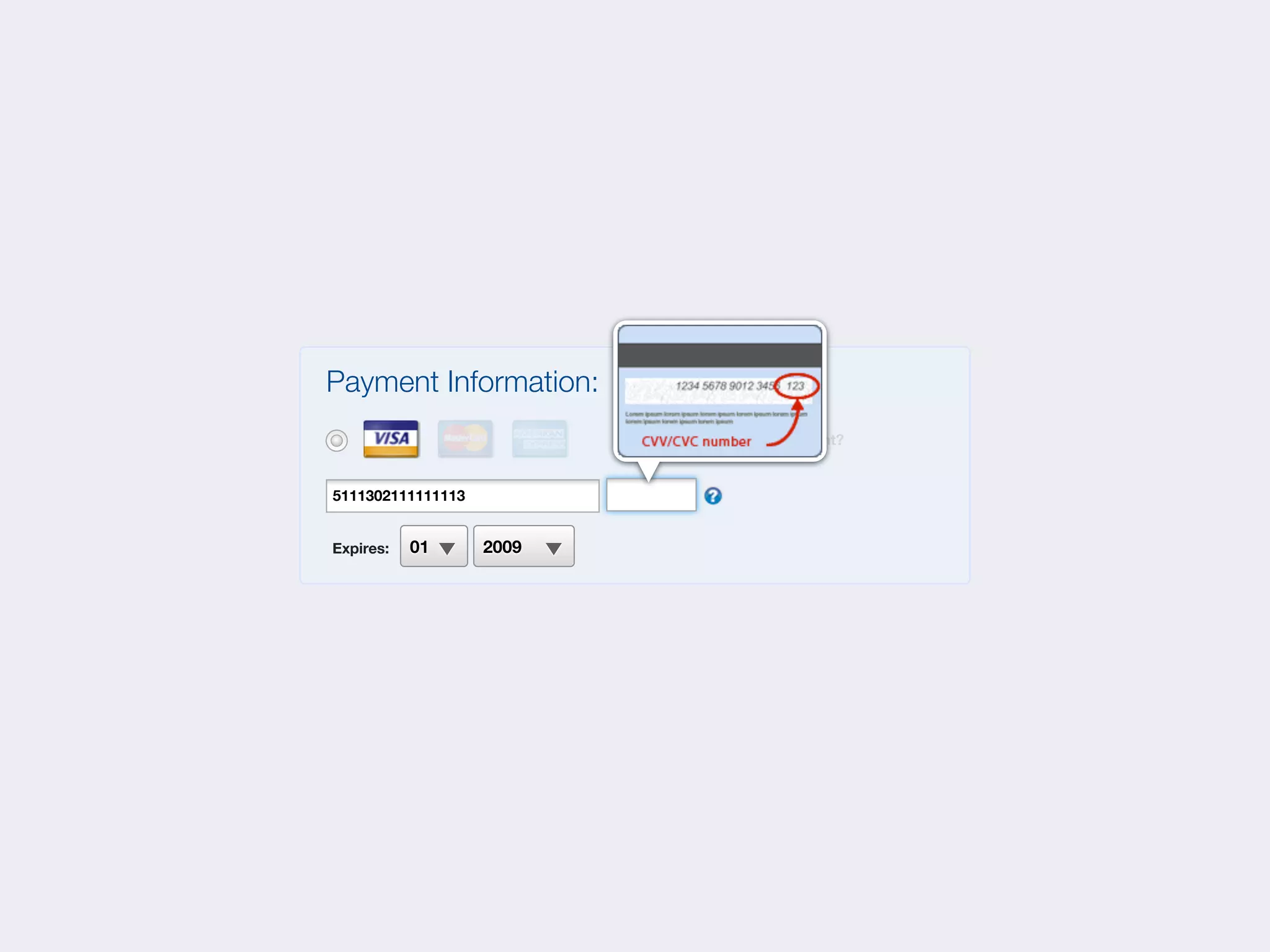 Payment Information:
                          Other form of payment?


5111302111111113


Expires:   01      2009
 